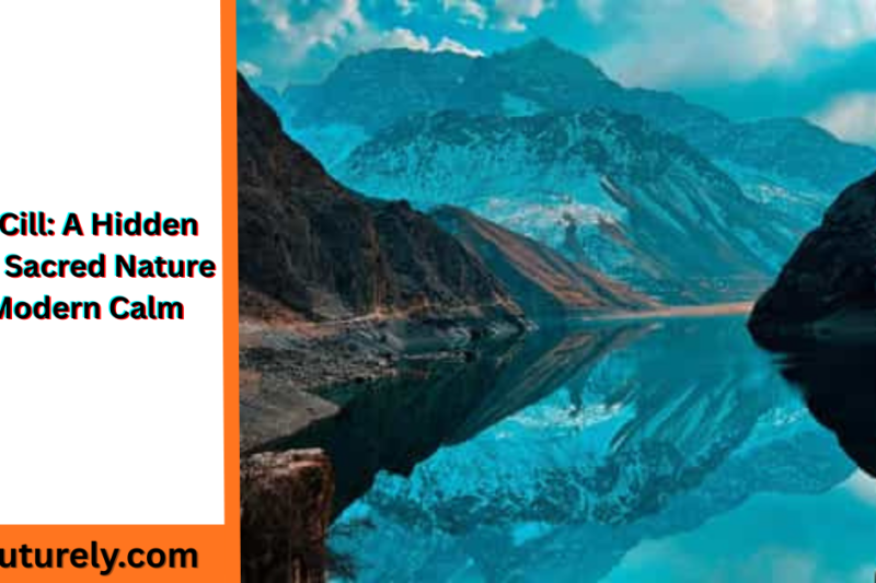 Teren Cill: A Hidden Gem of Sacred Nature and Modern Calm